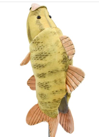 Creative Covers Bass