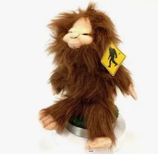 Creative Covers Sasquatch